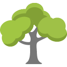 Sun Prairie Tree Removal
