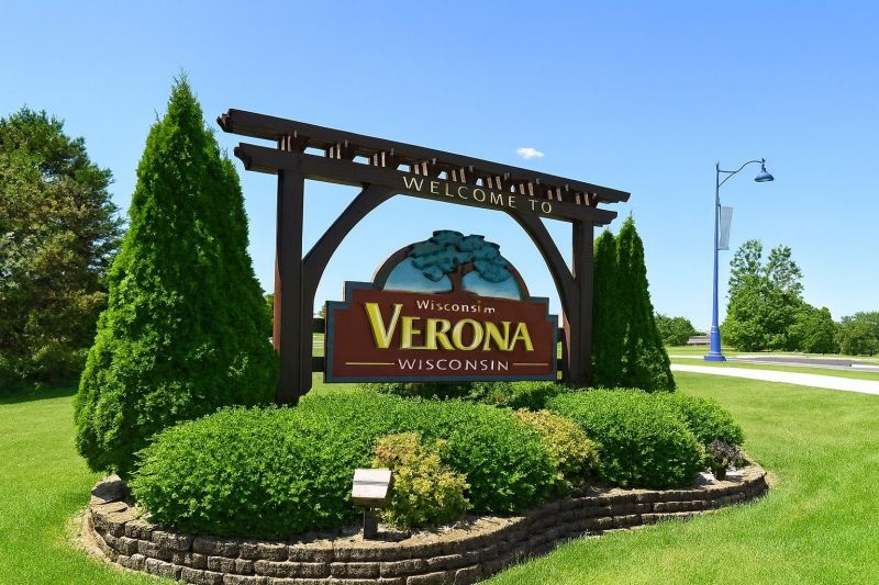 Apple Tree Removal in Verona, WI