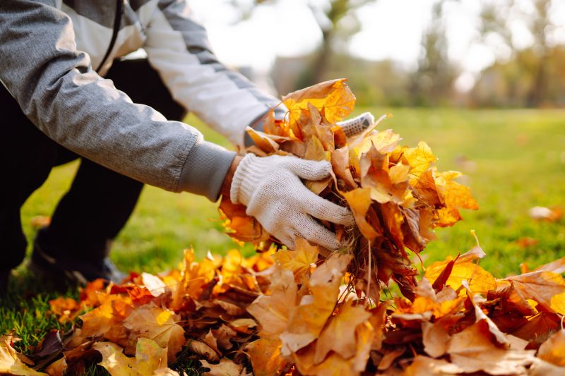 Leaf Removal Services
