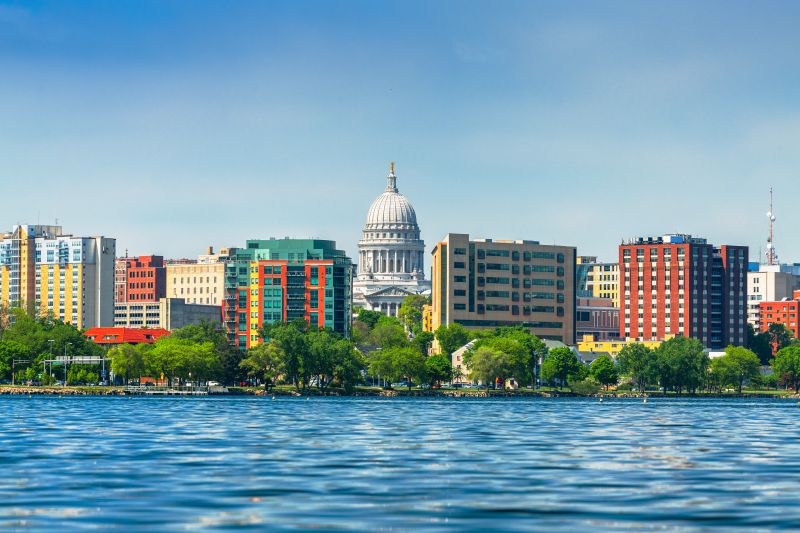 Tree Removal Service in Madison, WI