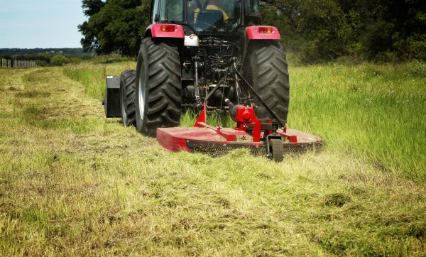 Brush Clearing Service