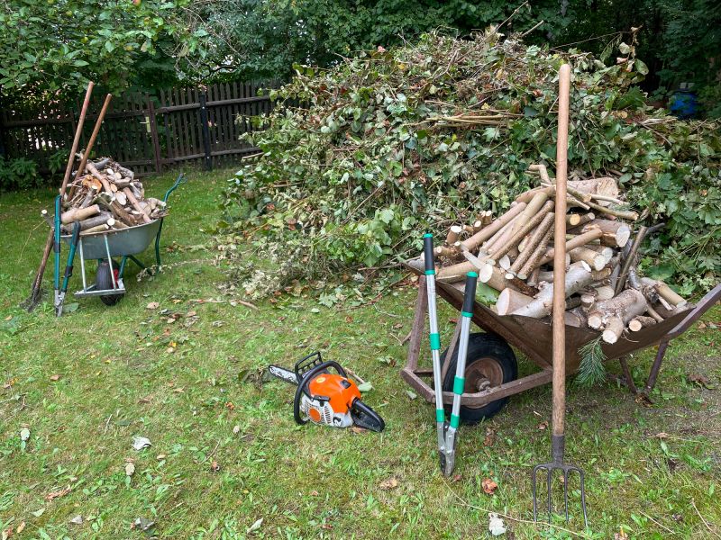 Emergency Tree Removal