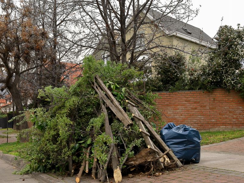 Comprehensive Cleanup