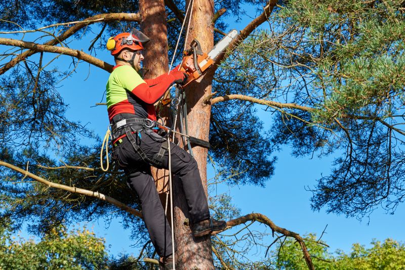Safety Measures During Removal