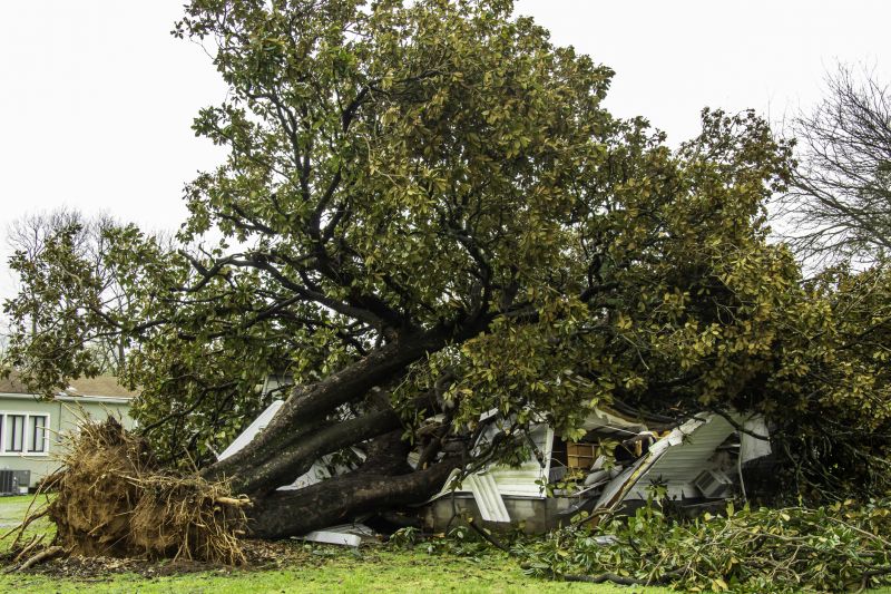 Storm Damage Response